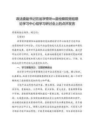 政法委副书记在巡学旁听县检察院党组理论学习中心组学习研讨会上的点评发言.docx