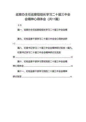 （11篇）巡察办主任巡察组组长学习二十届三中全会精神心得体会范文.docx