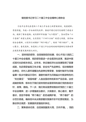 （9篇）镇党委书记学习二十届三中全会精神心得体会（精选）.docx