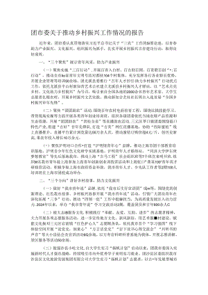 团市委关于推动乡村振兴工作情况的报告.docx