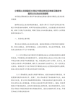 分管国土资源副区长落实市委巡察组反馈意见整改专题民主生活会发言提纲.docx