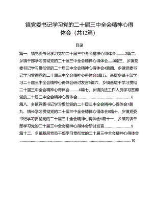 镇党委书记学习党的二十届三中全会精神心得体会（共12篇）.docx
