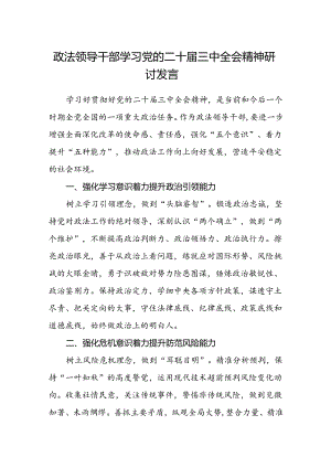 政法领导干部学习党的二十届三中全会精神研讨发言.docx