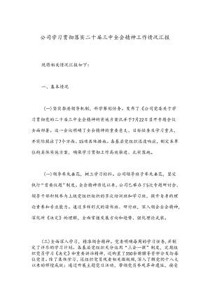 公司学习贯彻落实二十届三中全会精神工作情况汇报.docx