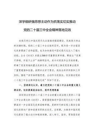 二十届三中全会研讨发言材料.docx