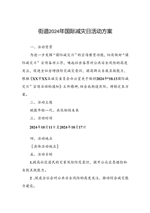街道2024年国际减灾日活动工作方案.docx