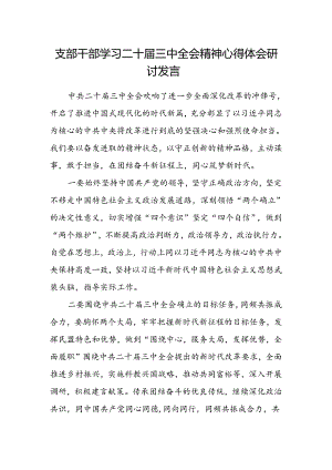 支部干部学习二十届三中全会精神心得体会研讨发言.docx