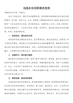 当选乡长任职表态发言.docx