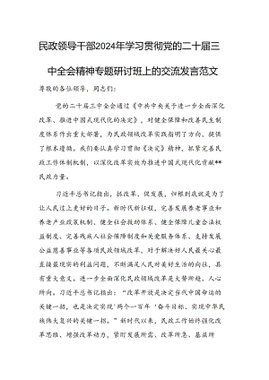 民政领导干部2024年学习贯彻党的二十届三中全会精神专题研讨班上的交流发言范文.docx