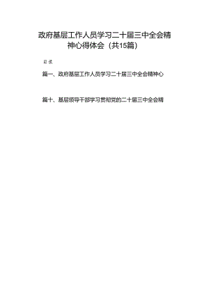 （15篇）政府基层工作人员学习二十届三中全会精神心得体会范文.docx