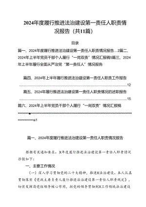 (11篇)2024年度履行推进法治建设第一责任人职责情况报告（最新版）.docx