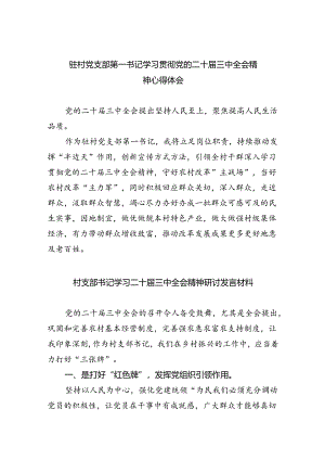 （9篇）驻村党支部第一书记学习贯彻党的二十届三中全会精神心得体会范文.docx