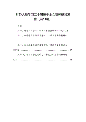 （11篇）财务人员学习二十届三中全会精神研讨发言集合.docx