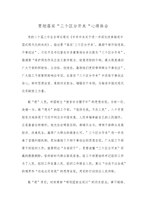 贯彻落实“三个区分开来”心得体会.docx
