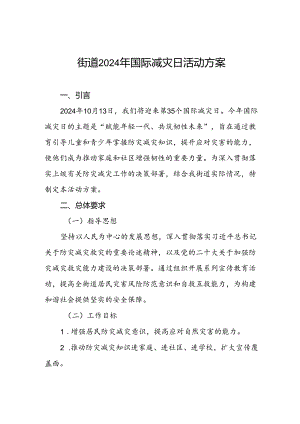 街道关于开展2024年国际减灾日活动的实施方案.docx