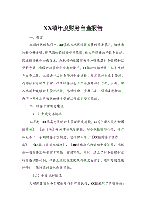 XX镇年度财务自查报告.docx