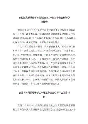 （9篇）农村党支部书记学习贯彻党的二十届三中全会精神心得体会（详细版）.docx