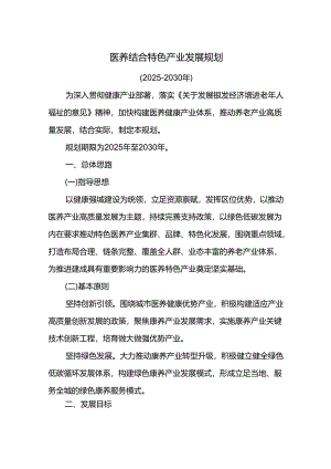 医养结合特色产业发展规划.docx