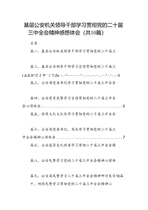 （10篇）基层公安机关领导干部学习贯彻党的二十届三中全会精神感想体会范文.docx