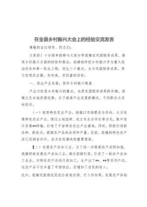 在全县乡村振兴大会上的经验交流发言.docx