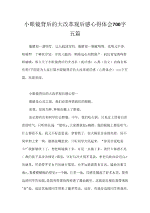小眼镜背后的大改革观后感心得体会700字五篇.docx