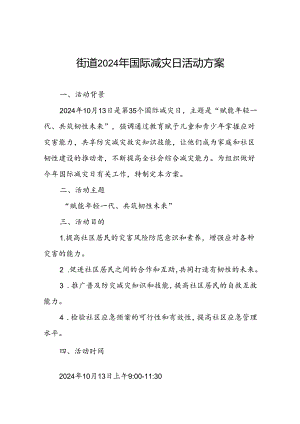 街道2024年国际减灾日活动方案优秀范本.docx