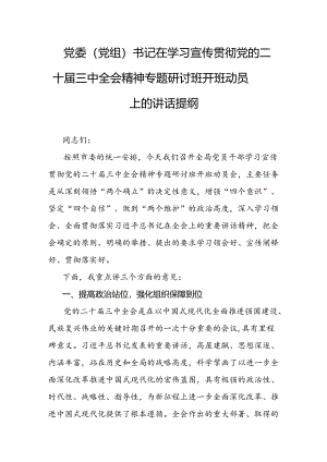 党委（党组）书记在学习宣传贯彻党的二十届三中全会精神专题研讨班开班动员上的讲话提纲.docx