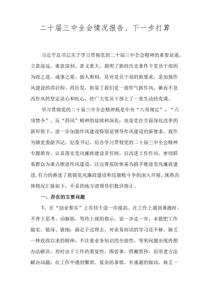二十届三中全会情况报告、下一步打算.docx