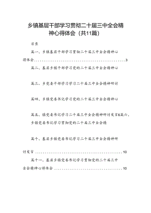 （11篇）乡镇基层干部学习贯彻二十届三中全会精神心得体会范文.docx