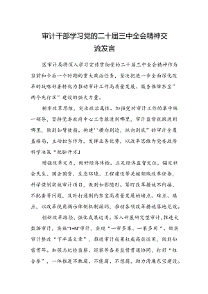 (5篇)审计干部学习党的二十届三中全会精神交流发言（详细版）.docx