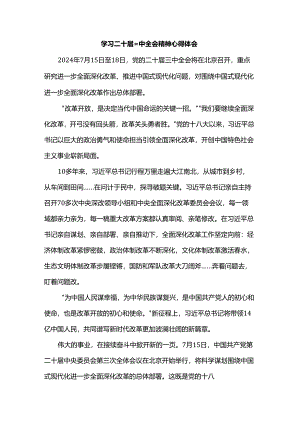 学习二十届三中全会精神心得体会.docx