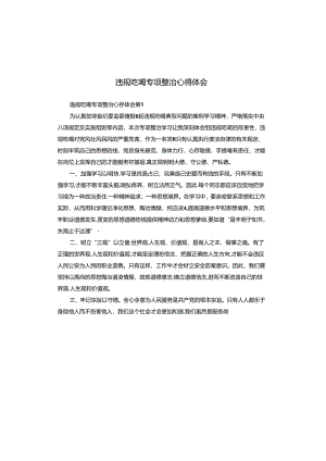 违规吃喝专项整治心得体会.docx