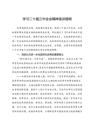 学习二十届三中全会精神宣讲提纲.docx