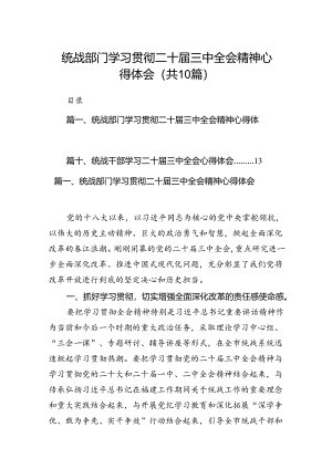 （10篇）统战部门学习贯彻二十届三中全会精神心得体会范文.docx