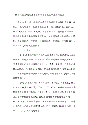 XX区工信局2024年上半年工作总结和下半年工作计划.docx