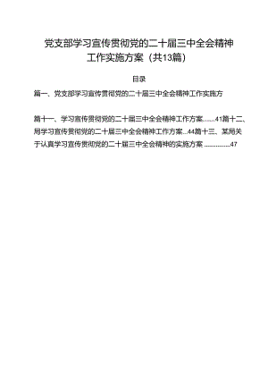 （13篇）党支部学习宣传贯彻党的二十届三中全会精神工作实施方案（详细版）.docx