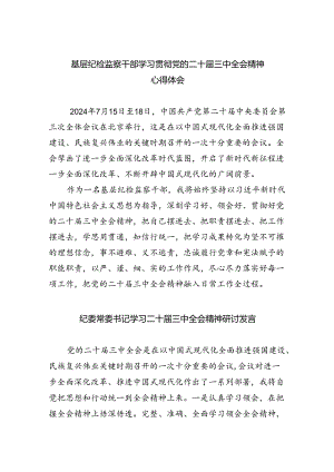 基层纪检监察干部学习贯彻党的二十届三中全会精神心得体会5篇供参考.docx