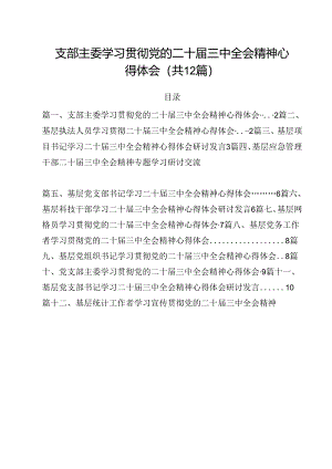 支部主委学习贯彻党的二十届三中全会精神心得体会12篇（最新版）.docx