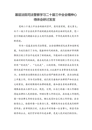 基层法院司法警察学习二十届三中全会精神心得体会研讨发言.docx
