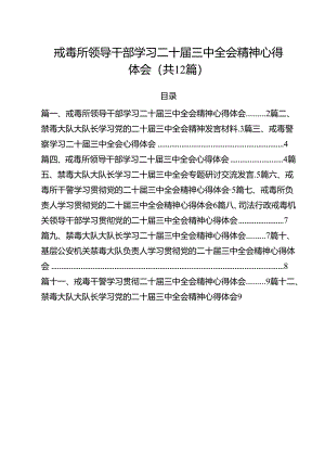戒毒所领导干部学习二十届三中全会精神心得体会12篇（精选）.docx