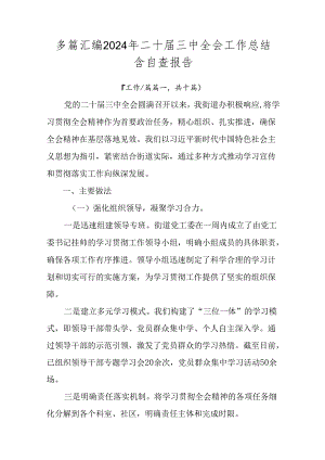 多篇汇编2024年二十届三中全会工作总结含自查报告.docx