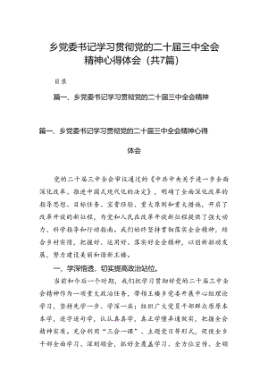 乡党委书记学习贯彻党的二十届三中全会精神心得体会【7篇】.docx