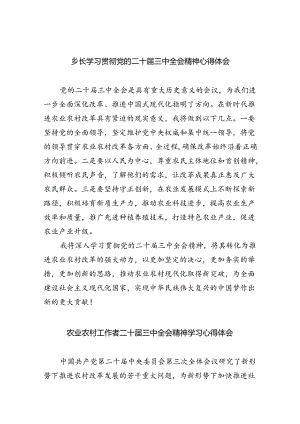 （9篇）乡长学习贯彻党的二十届三中全会精神心得体会范文.docx