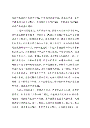 2024年三季度支部党建工作总结+党支部基层党建第三季度工作总结.docx