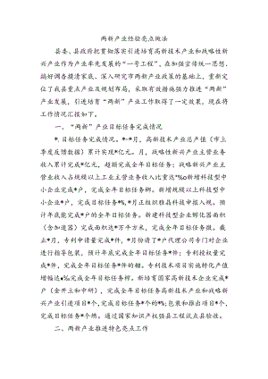 两新产业经验亮点做法.docx