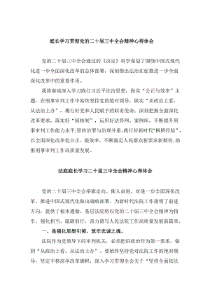 （11篇）庭长学习贯彻党的二十届三中全会精神心得体会（最新版）.docx