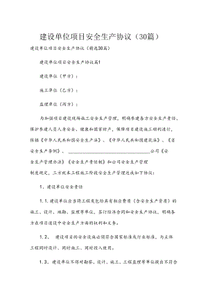 建设单位项目安全生产协议（30篇）.docx
