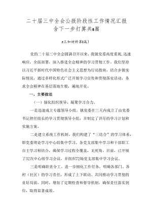 二十届三中全会公报阶段性工作情况汇报含下一步打算共8篇.docx