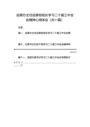 （11篇）巡察办主任巡察组组长学习二十届三中全会精神心得体会精品.docx