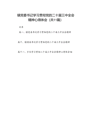 （11篇）镇党委书记学习贯彻党的二十届三中全会精神心得体会（精编版）.docx